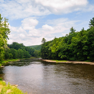 Cook Forest State Park